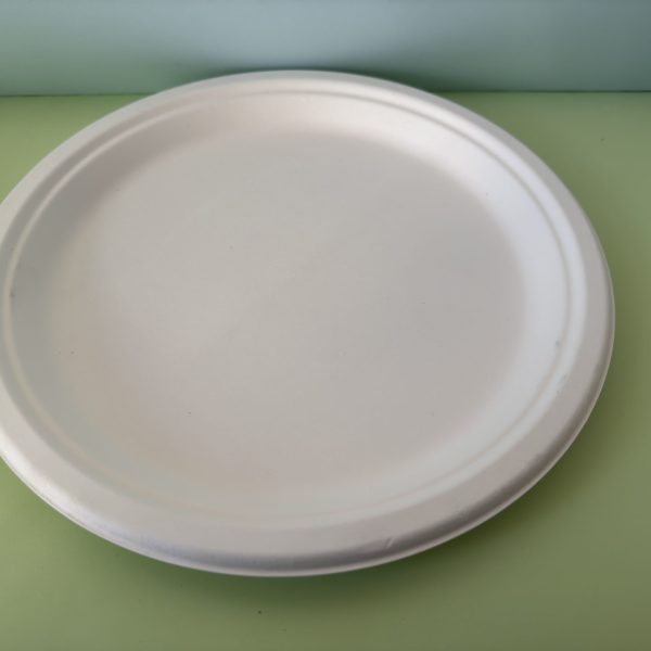 10 inch round plate
