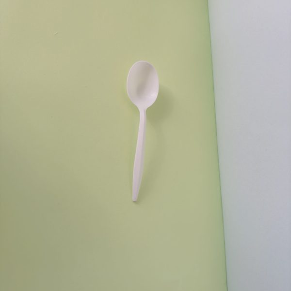 2.5g PP Spoon